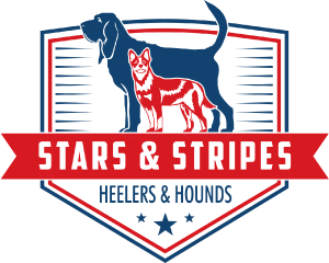 Stars and Stripes Dog Breeder