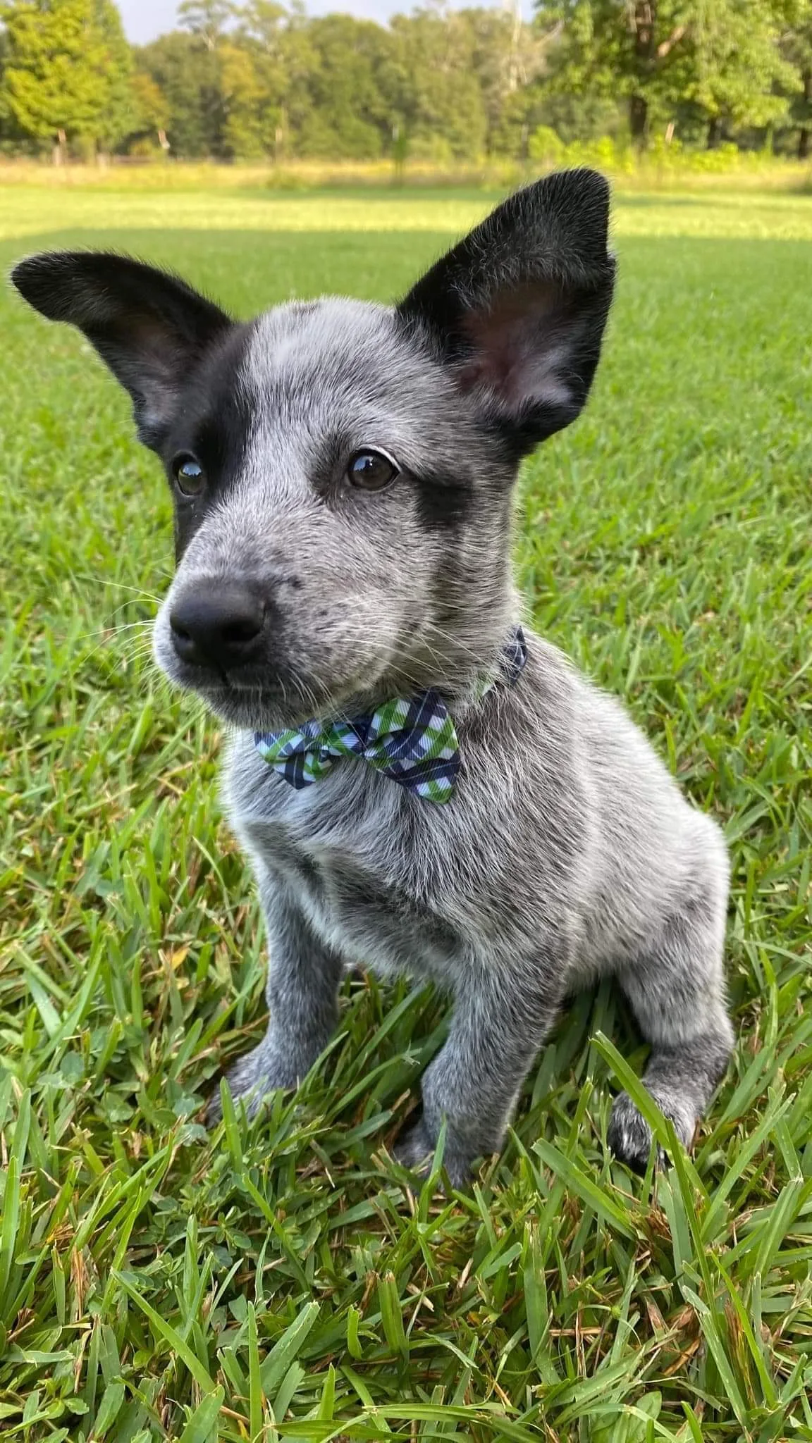 received_4057207820964429